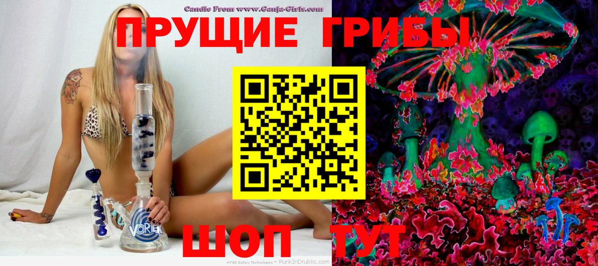 Псилоцибиновые грибы прущие грибы  Вход с VPN  Валуйки 
